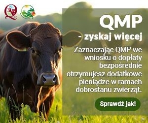 Ekoschemat „Dobrostan zwierząt”